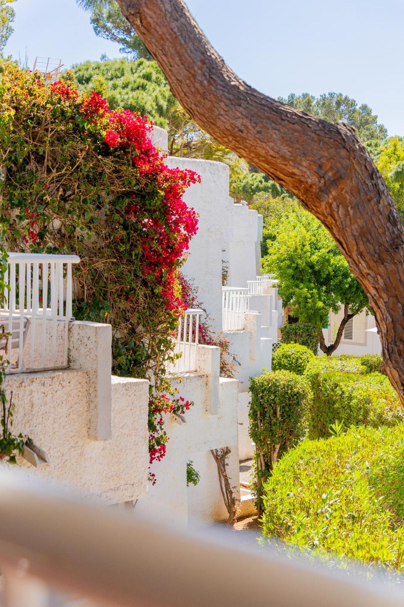 Atlas Apartments Ibiza Santa Eularia des Riu Exteriör bild